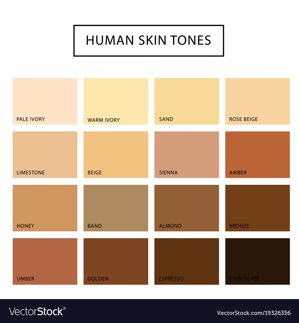 human-skin-tone-set-vector-19326356.jpg