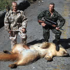 hunt.jpg