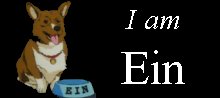 i am ein 01.jpg