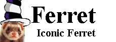 iconic ferret.jpg