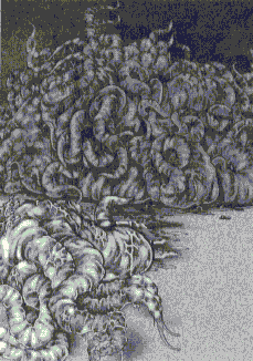illithocyte.gif