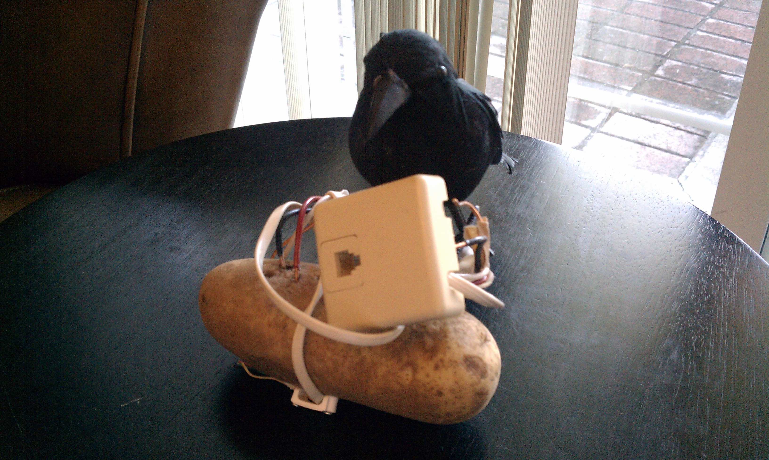 IMAG0215.jpg