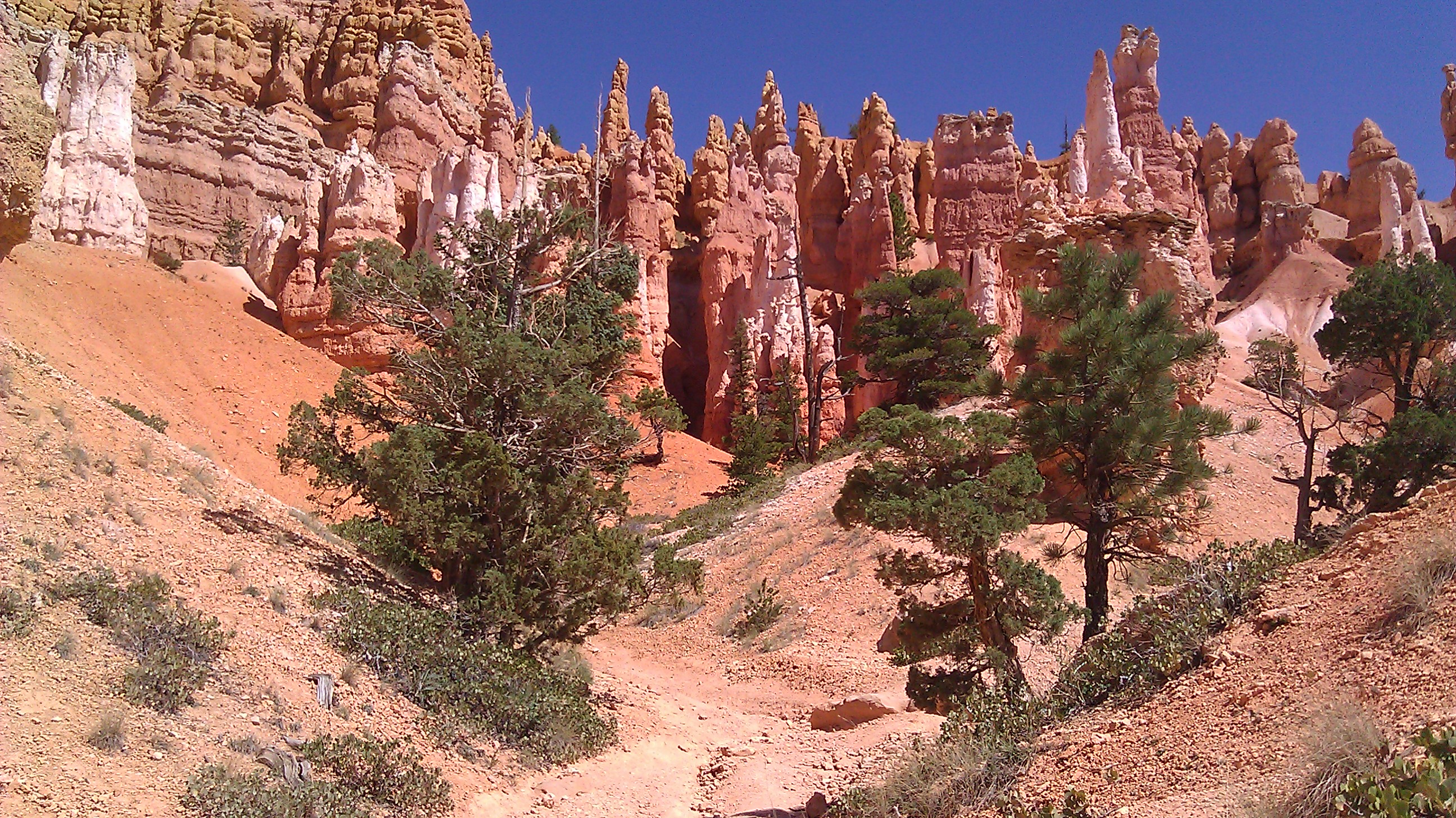 IMAG0235.jpg