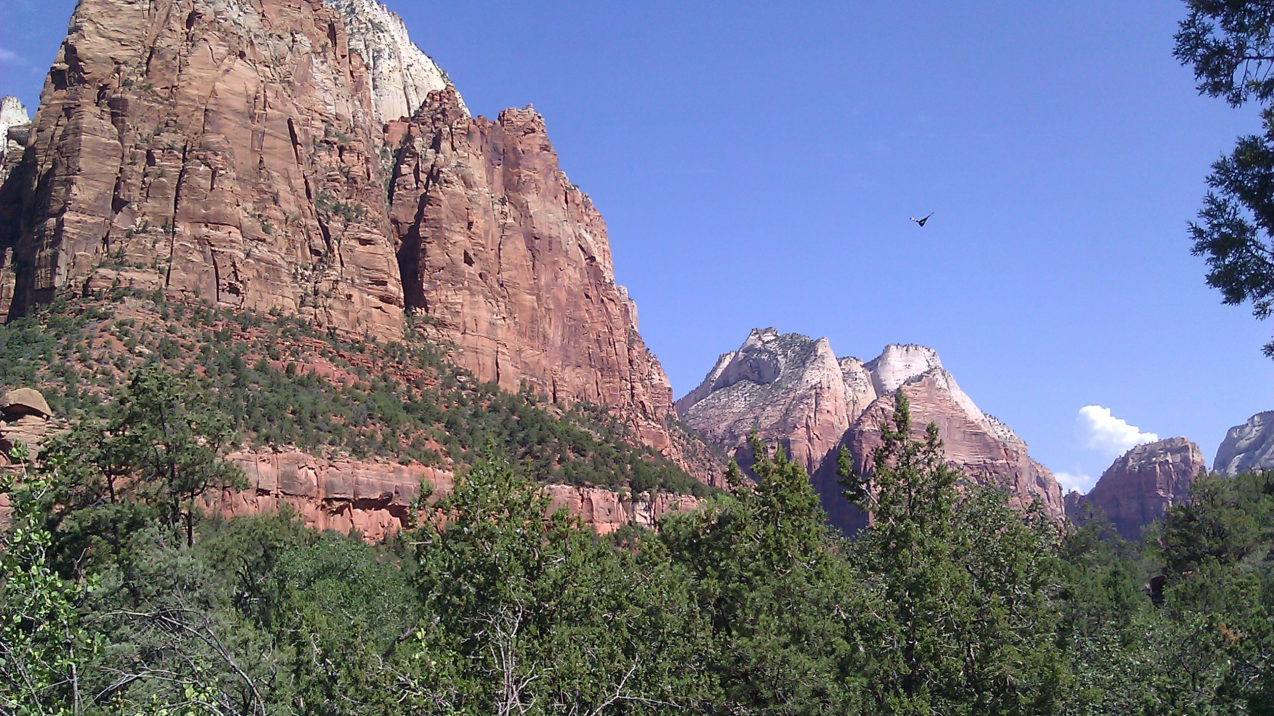 IMAG0280.jpg