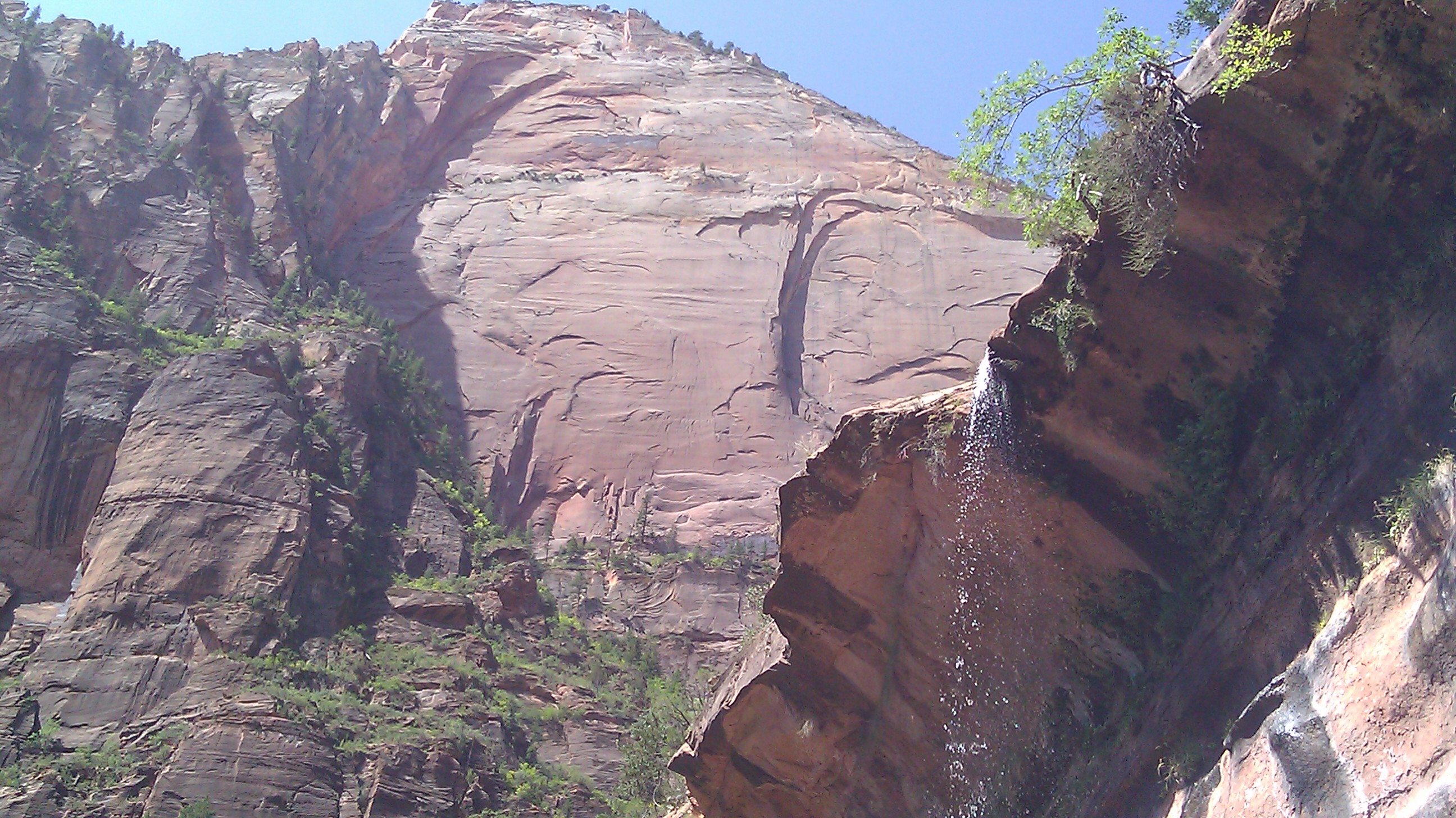 IMAG0297.jpg