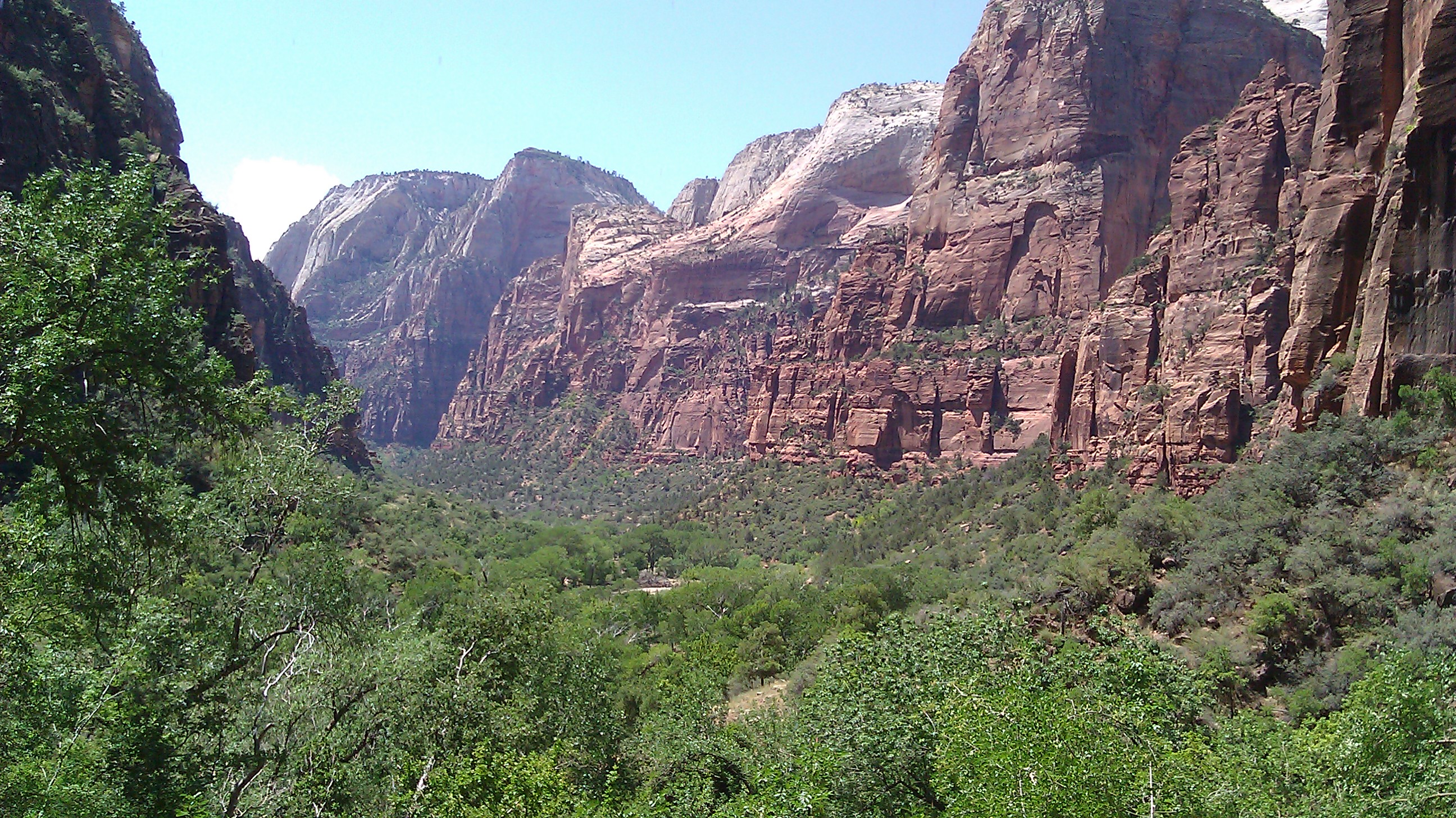 IMAG0299.jpg