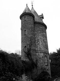 Imani's Tower.jpg