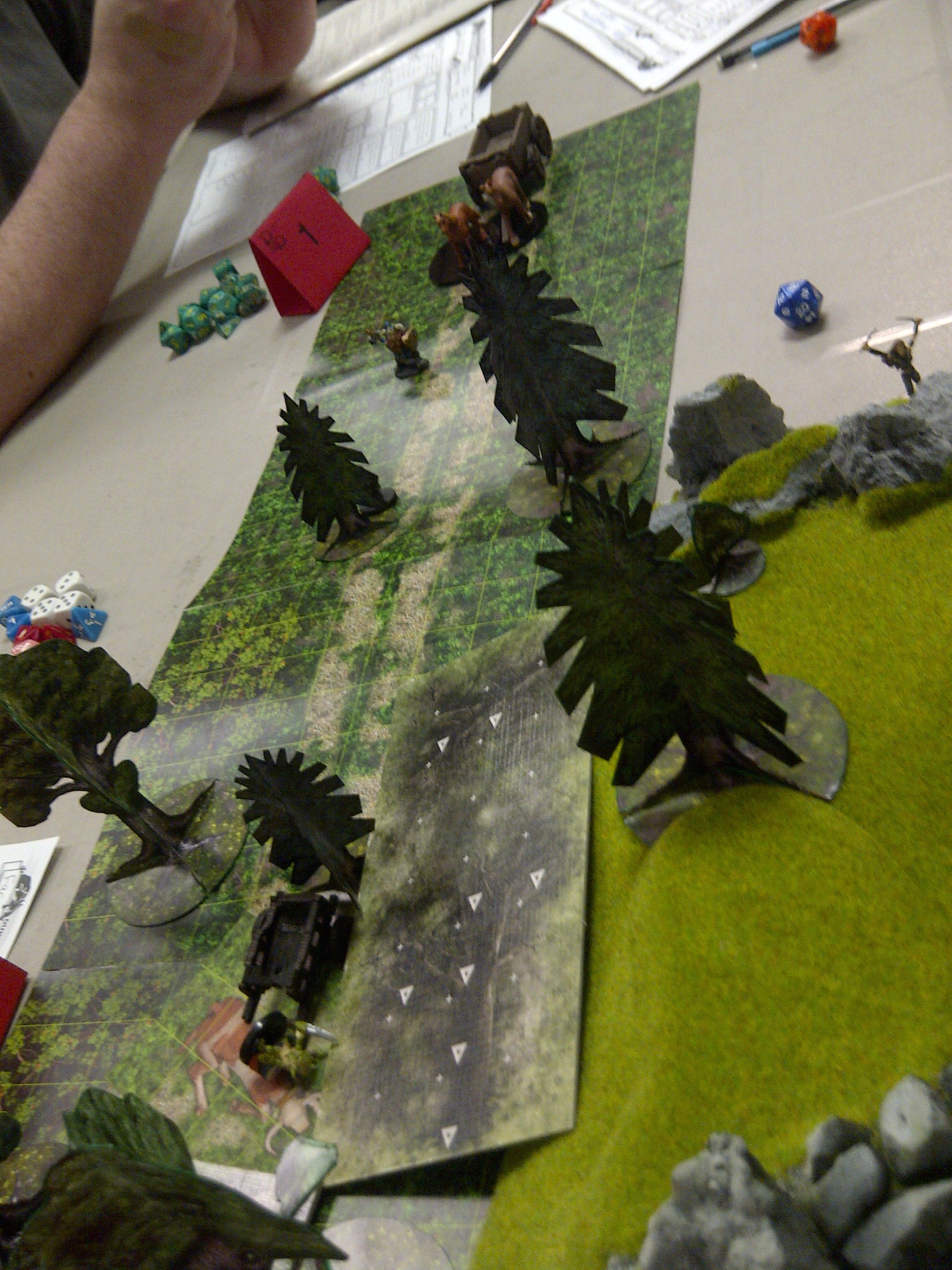 IMG-20140710-00463.jpg