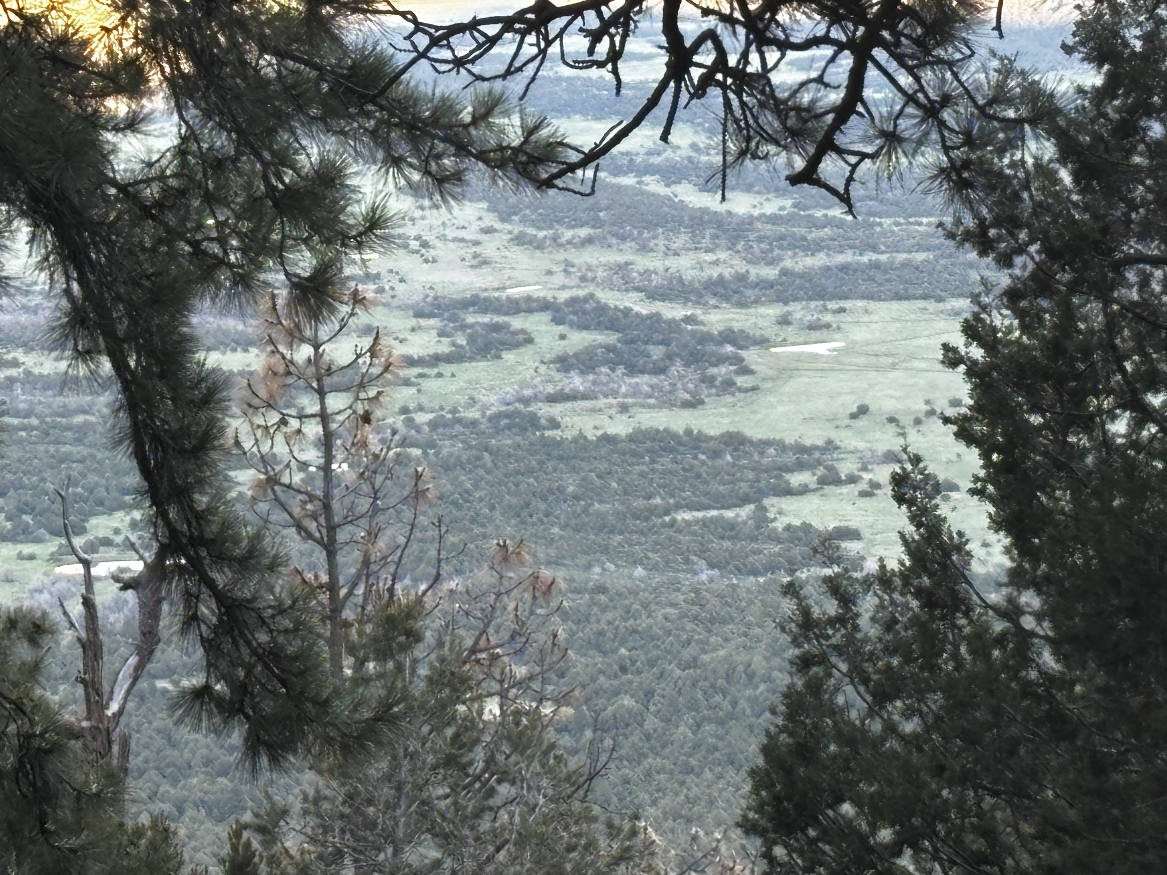 IMG_0751.JPEG