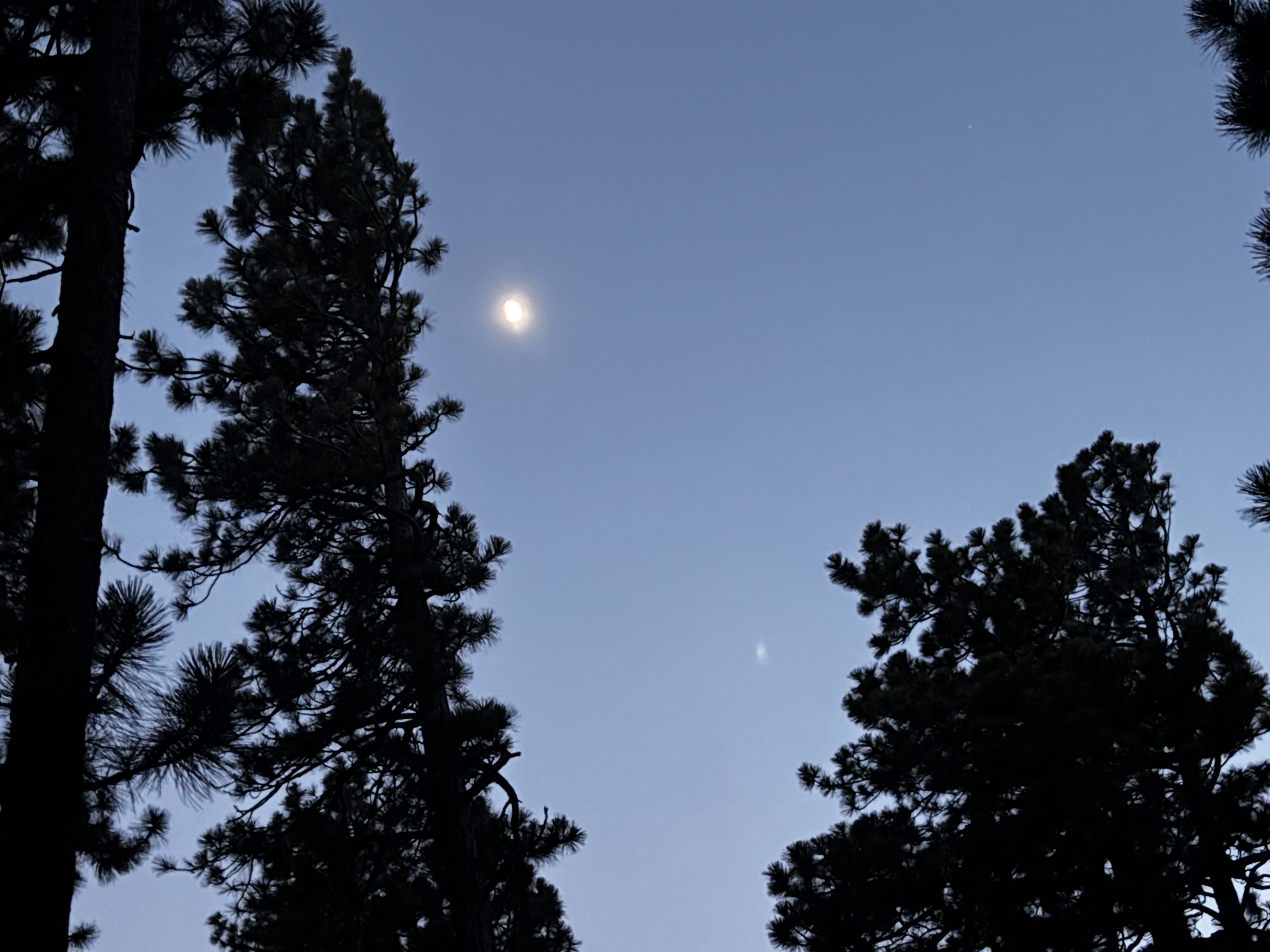 IMG_0752.JPEG