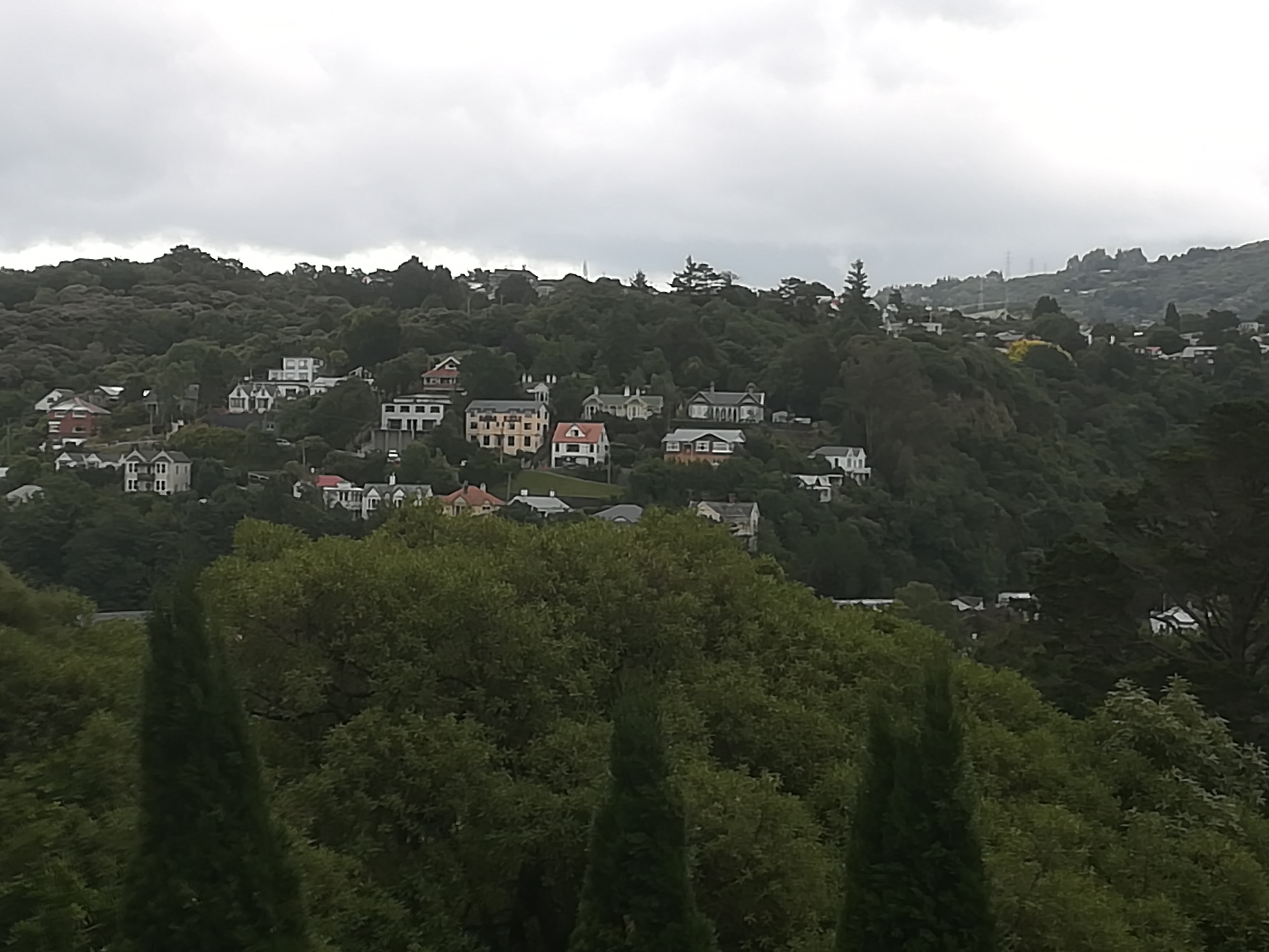 IMG_20211228_110655.jpg