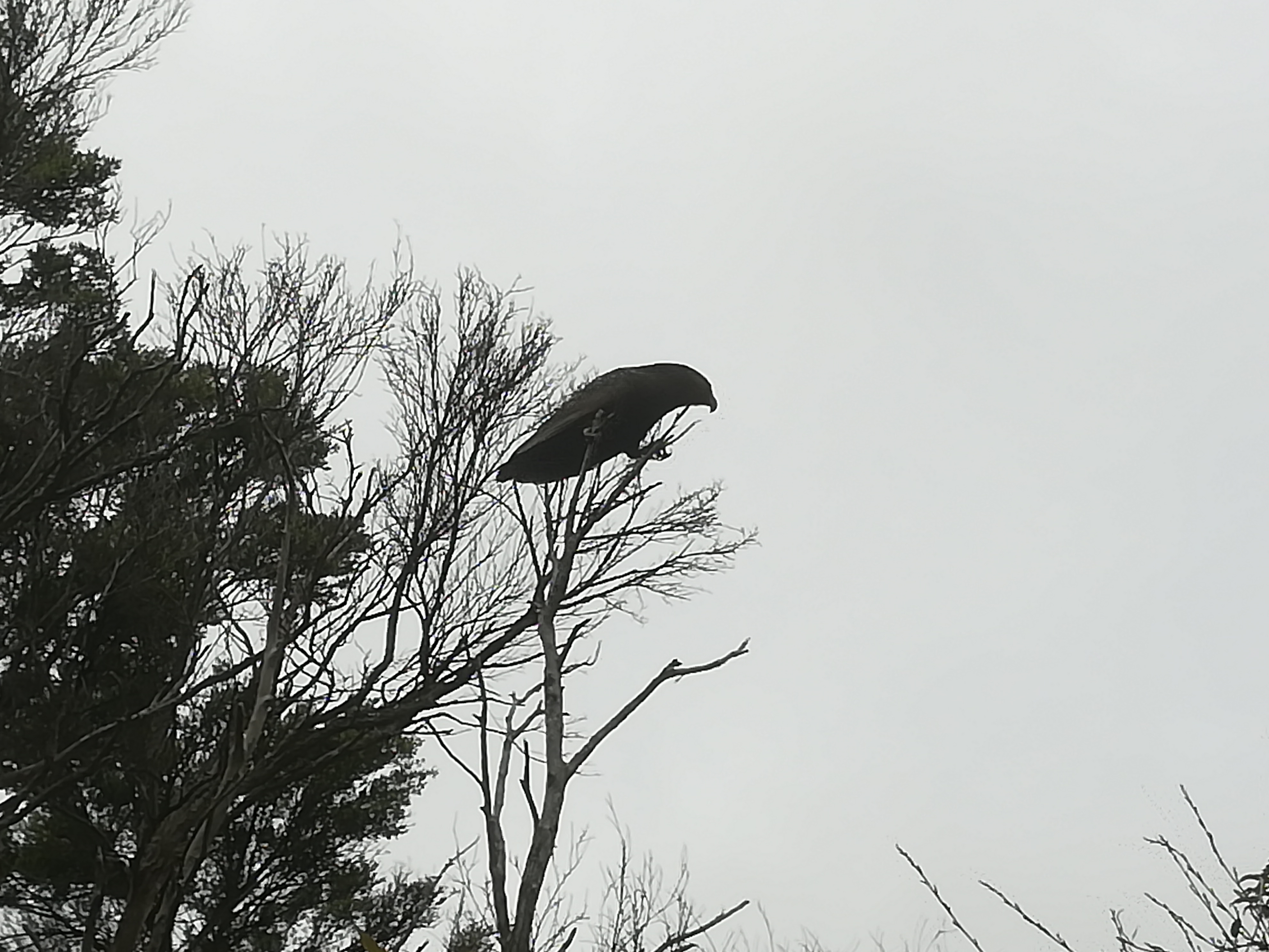 IMG_20211231_100755.jpg