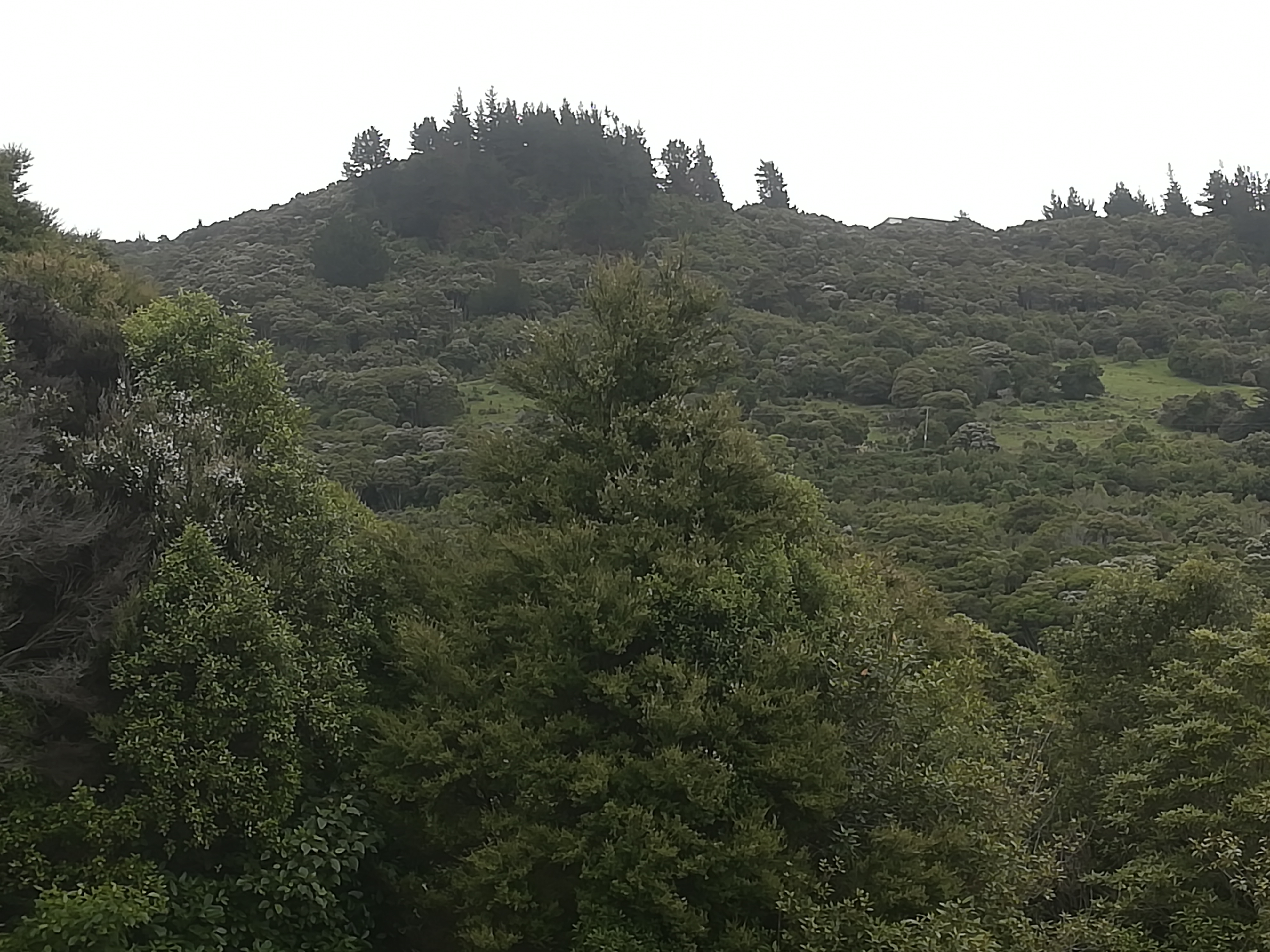 IMG_20211231_103054.jpg