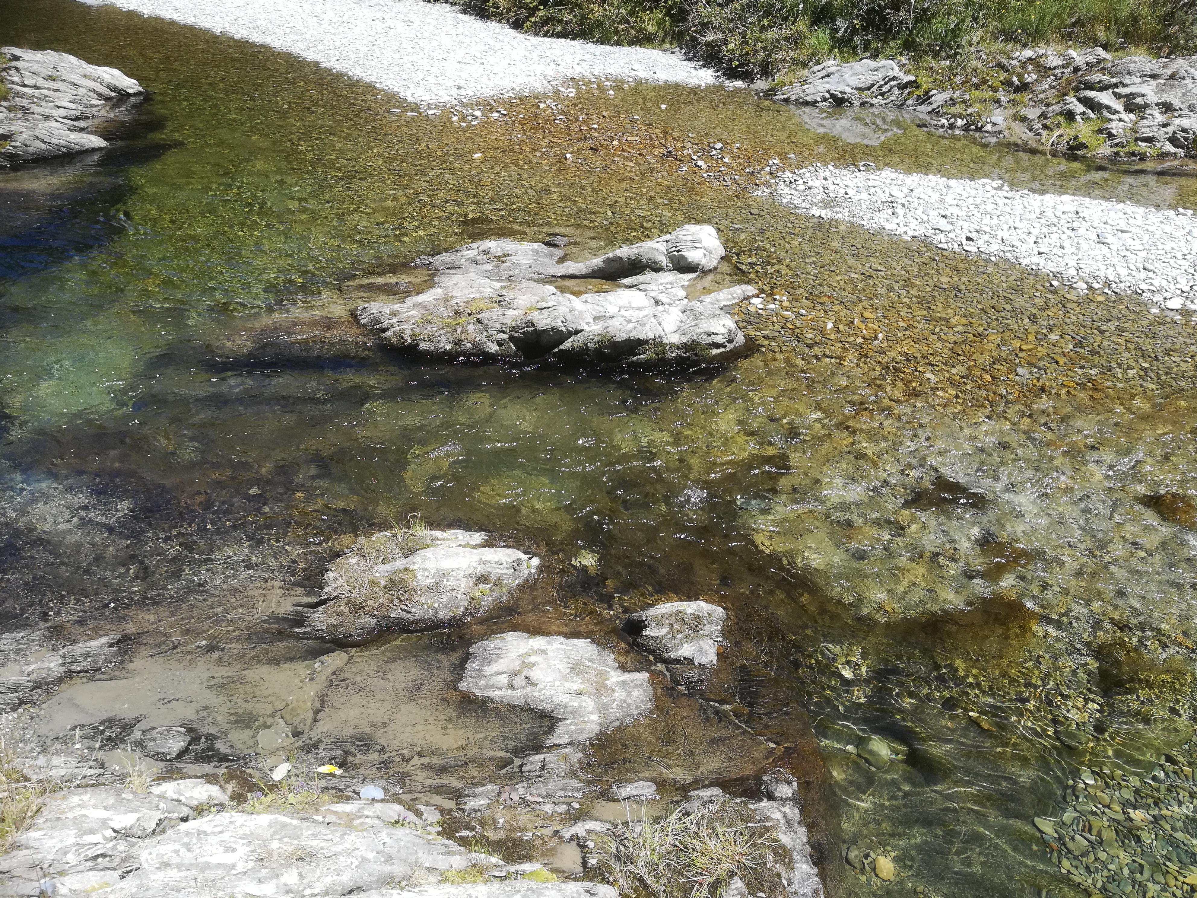 IMG_20220114_132118.jpg