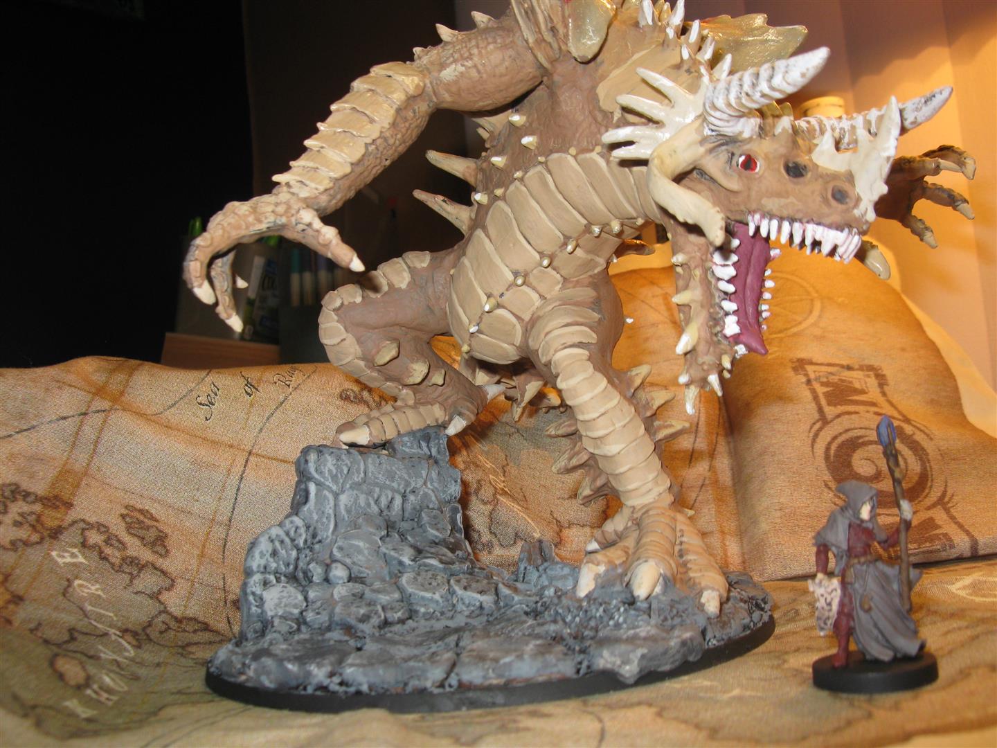 IMG_2464 (Large).JPG