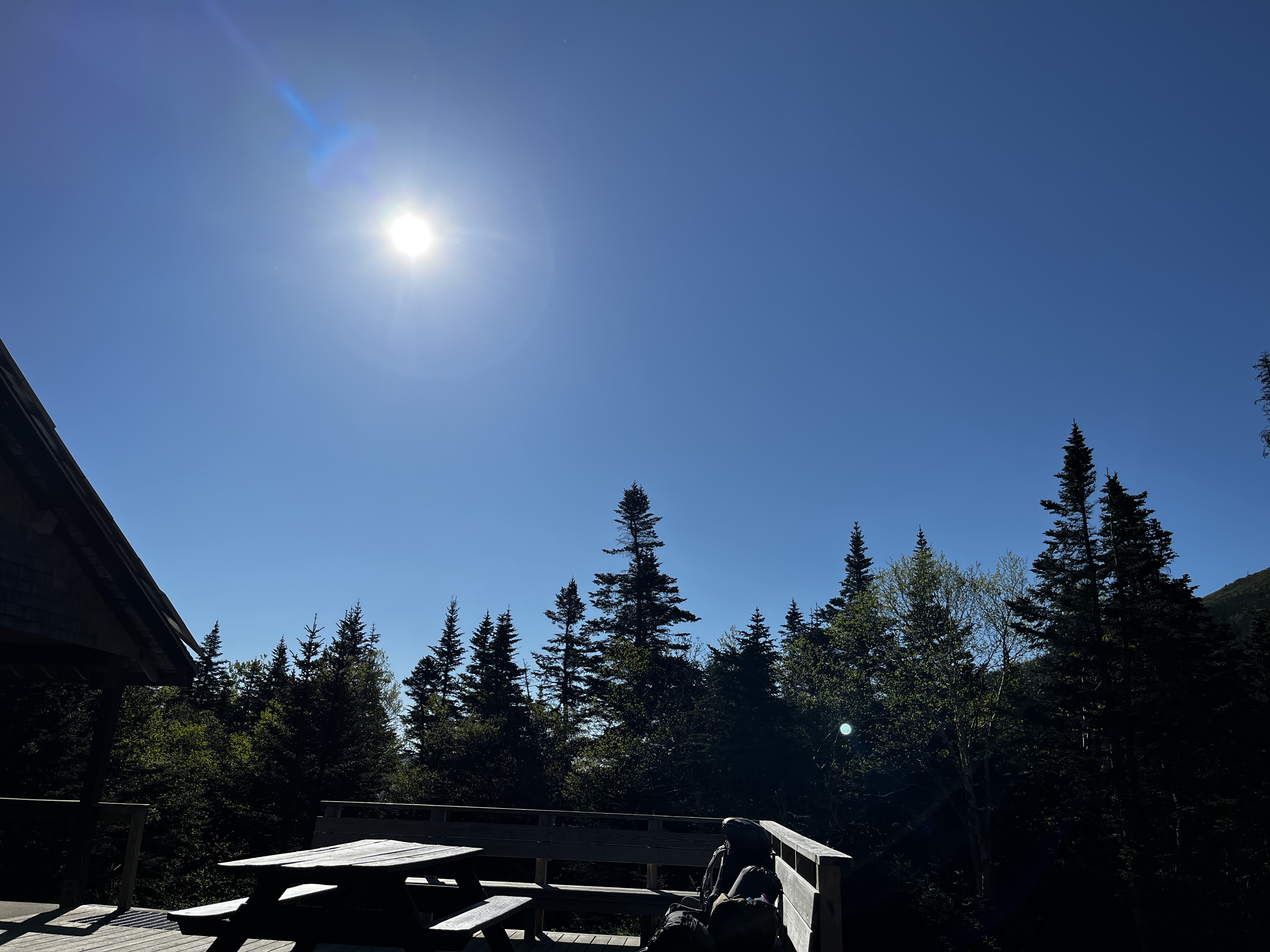 IMG_3904.JPEG