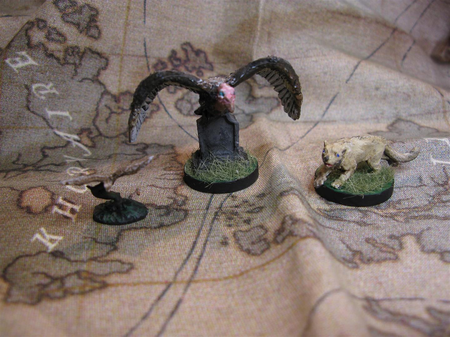 IMG_3978 (Large).JPG