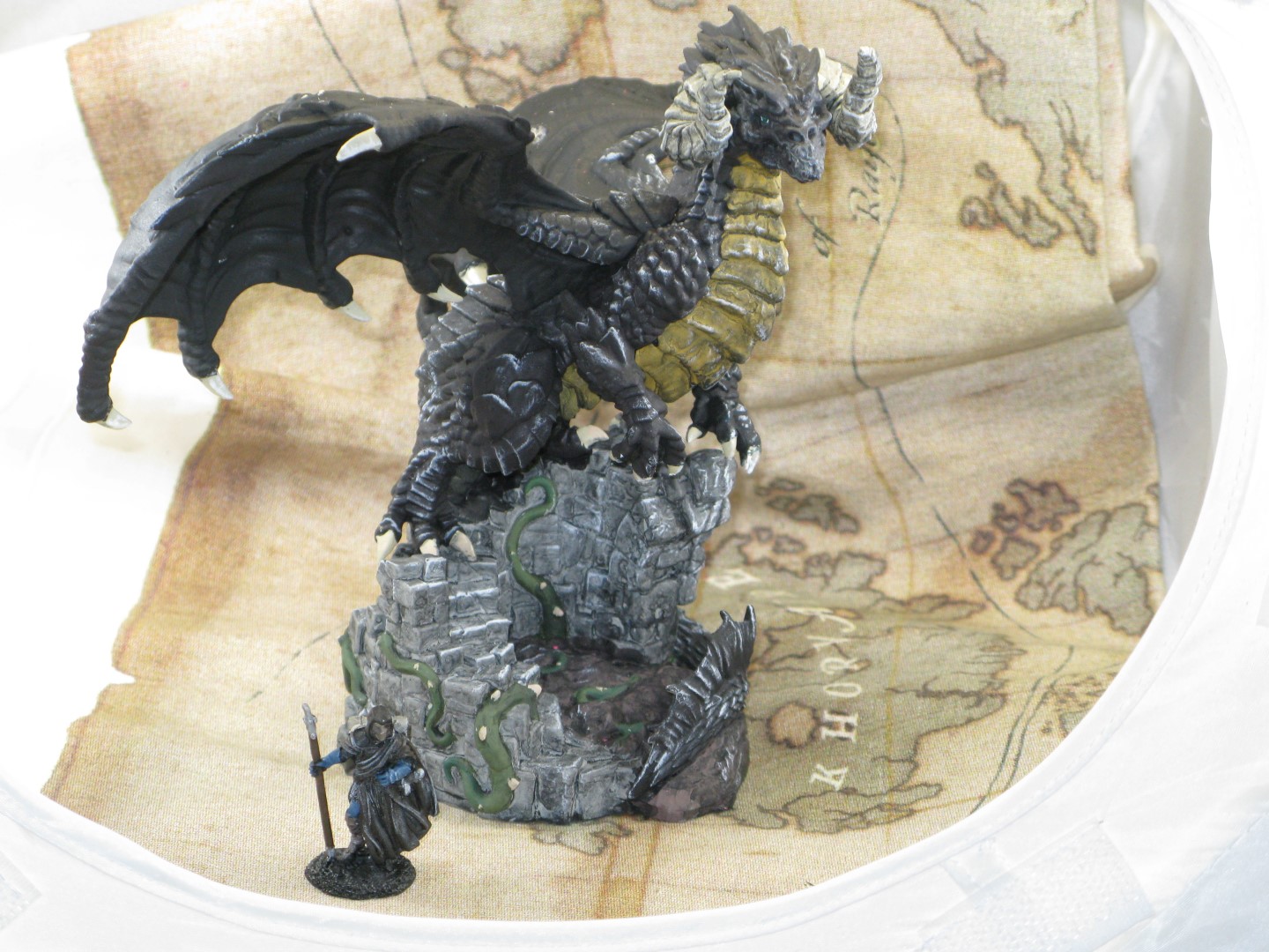 IMG_5683 (Large).JPG