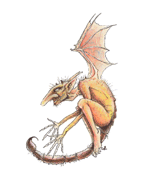 imp.gif