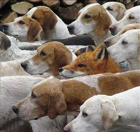 inconspicous.JPG