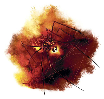 infferno spider.jpg
