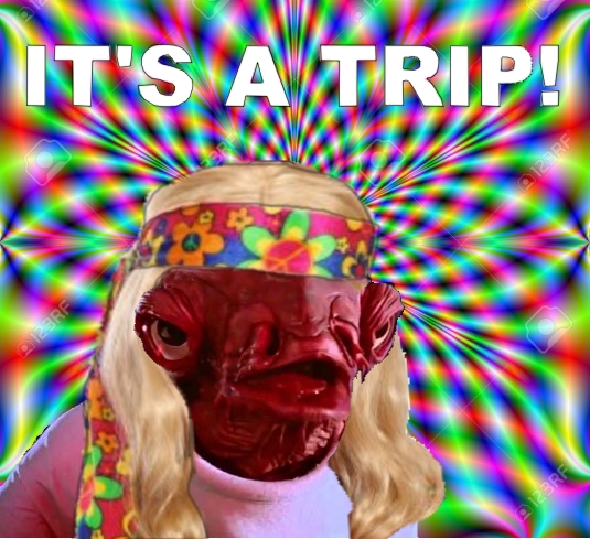 ITS A TRIP.jpg