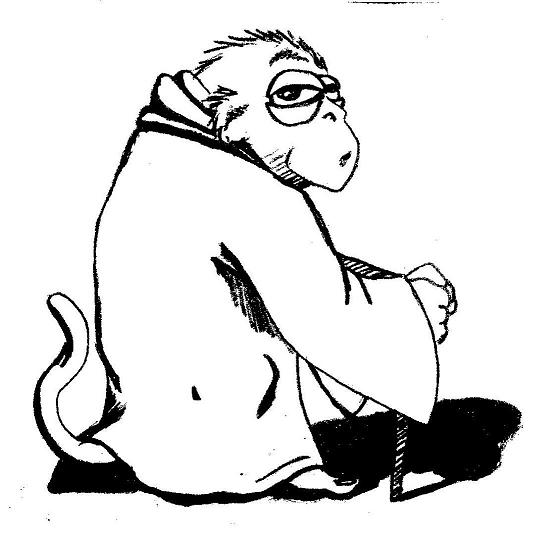 jedi monkeysmall.jpg