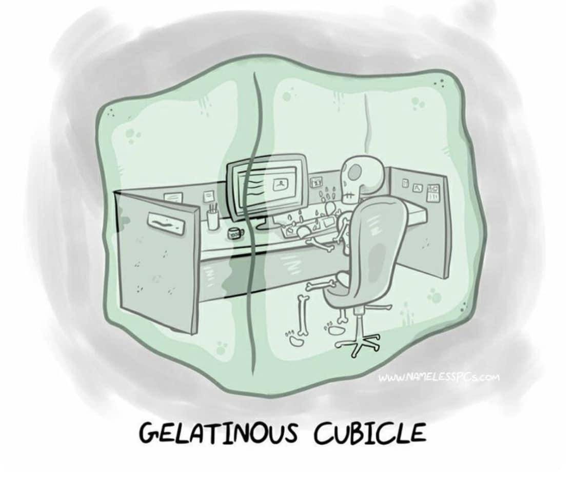 Jellycubicle.jpg