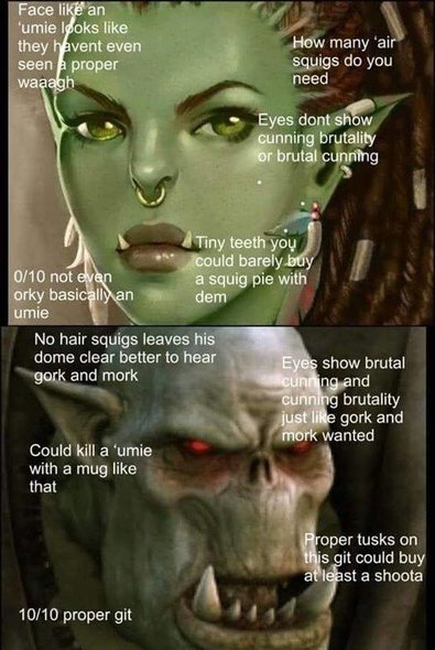 joke_wh40k_orks_vs_dnd5e_orks.jpg