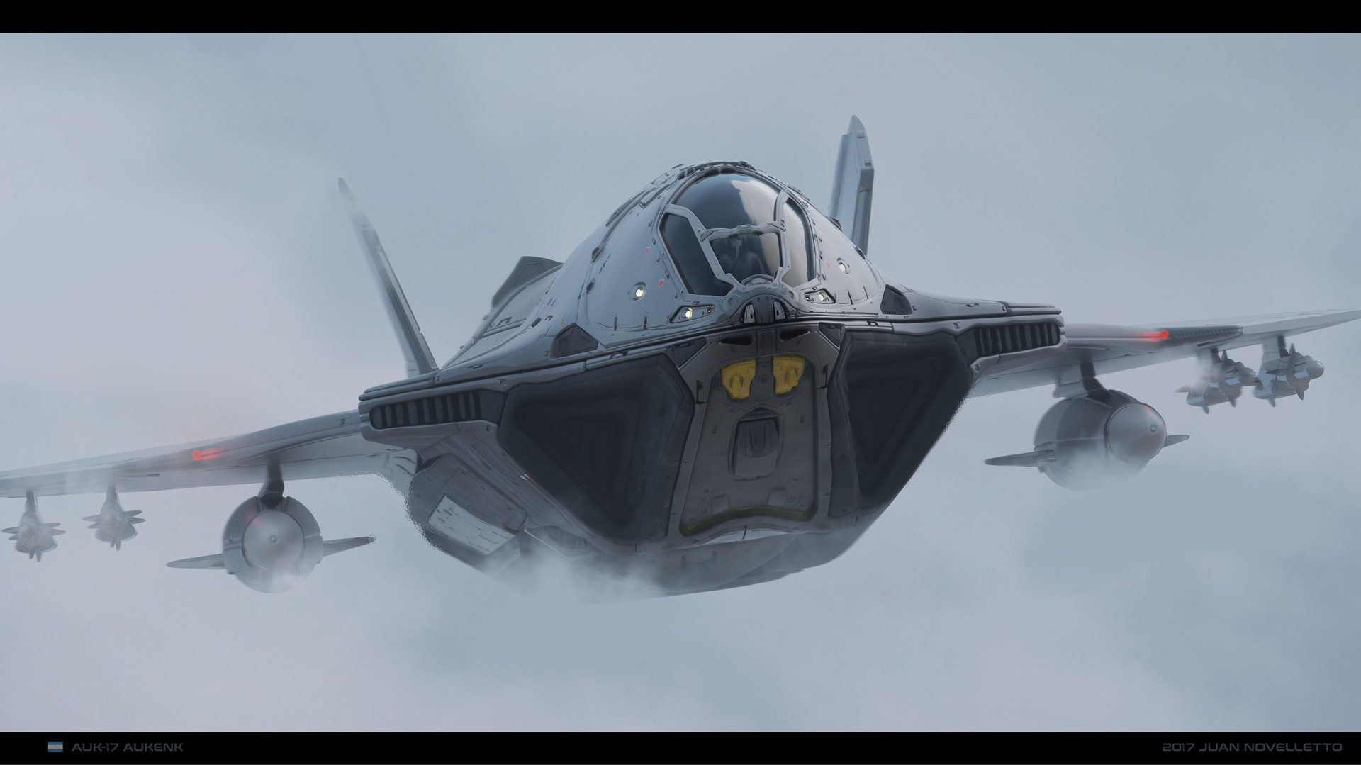 juannahuel-auk-17-aukenk-1-70d9fb6c-a27y.jpeg
