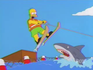 Jump the Shark.jpg