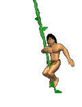 jungle_man_vine_swinging_lg_clr.gif