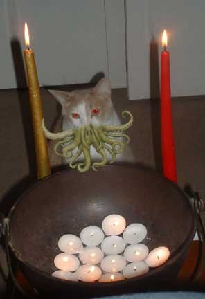kcpcatkid.JPG