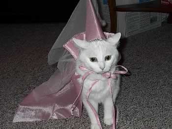 kittyprincess.jpg