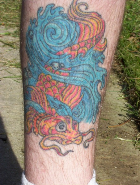 koi_tat.jpg
