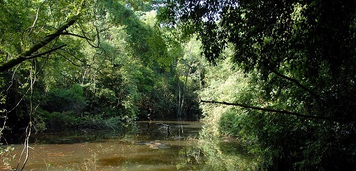 lake430.jpg