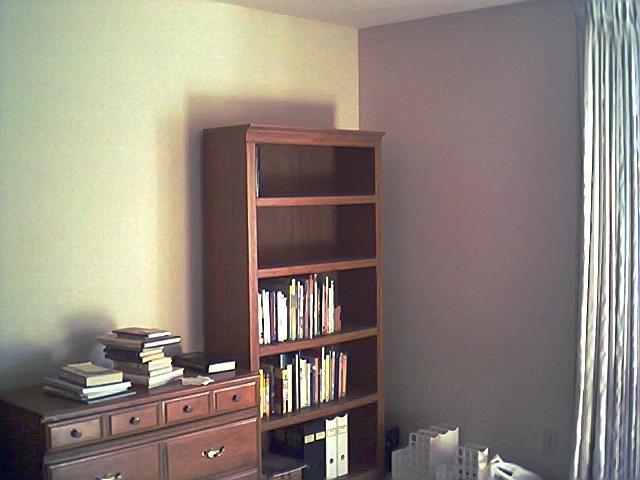 library 1.jpg