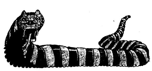 Light Worm.jpg