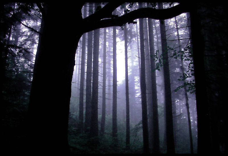 lurking_fear_by_autumn_ethereal.jpg