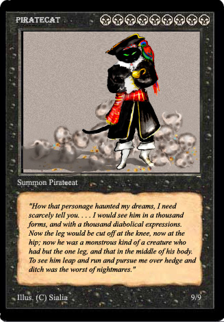 magiccardpiratecat.jpg
