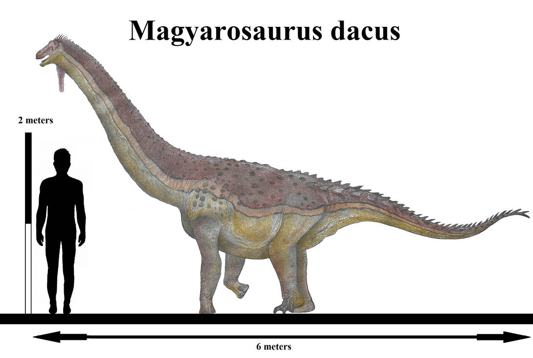magyarosaurus_dacus_by_teratophoneus_dfhbdb1-pre.jpg