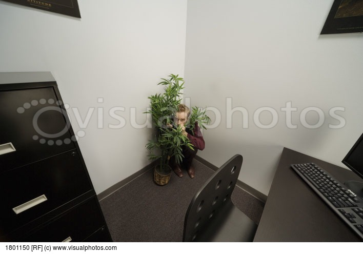 man-hiding-behind-plant-in-office.jpg