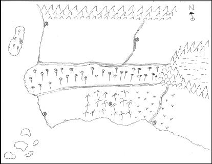 map.JPG