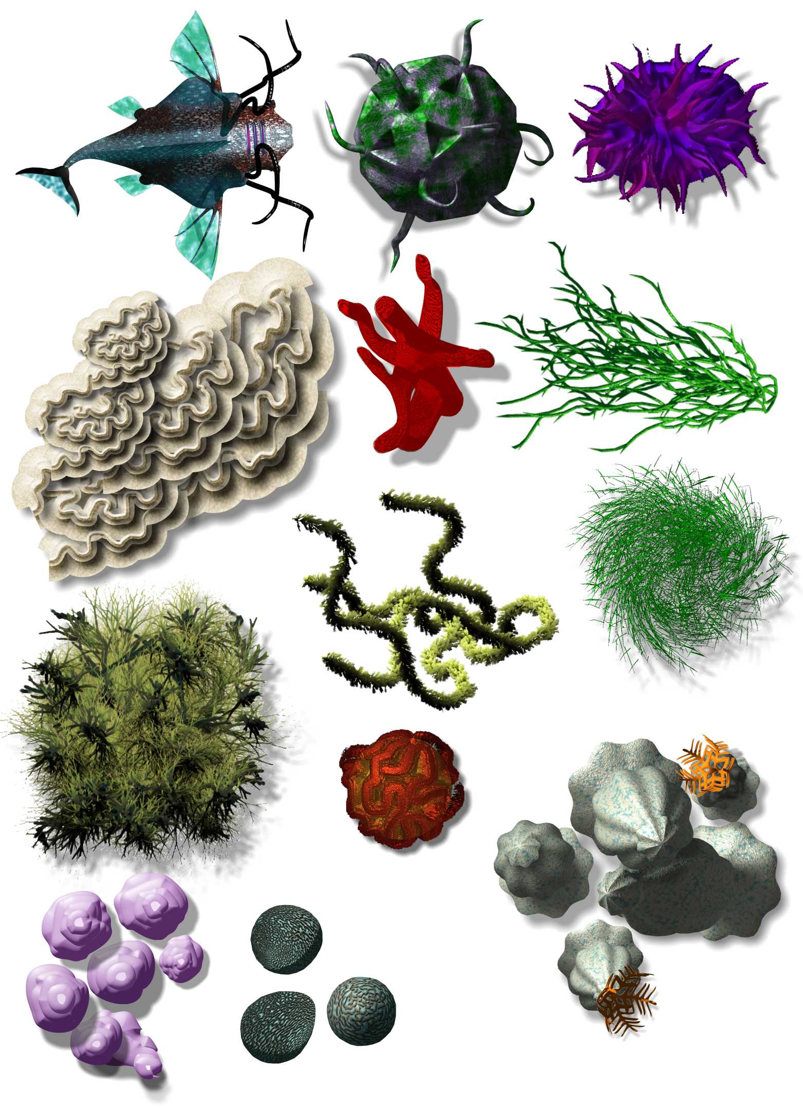 map-objects-sealife.jpg