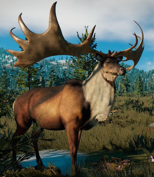 Megaloceros_.jpg