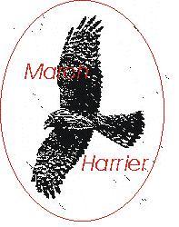 Mharrier Badges.JPG