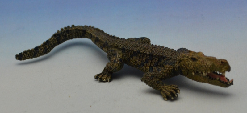 mini_116_crocodile_02.jpeg