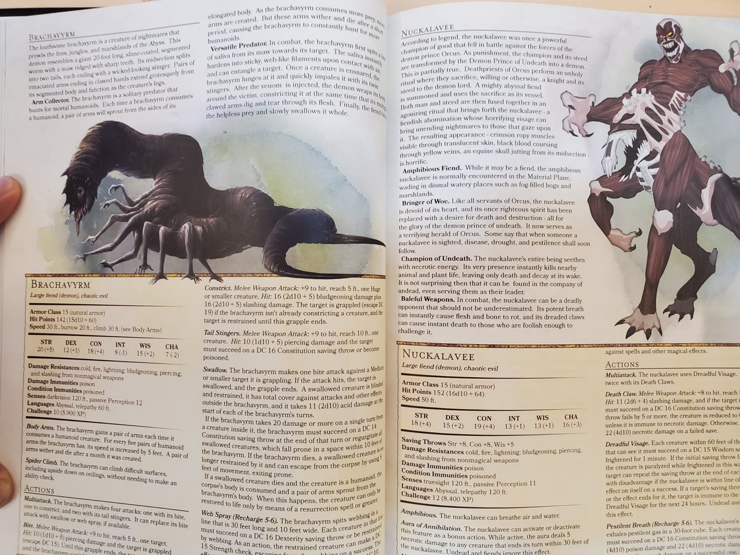 MME 2 nuckalavee.jpg