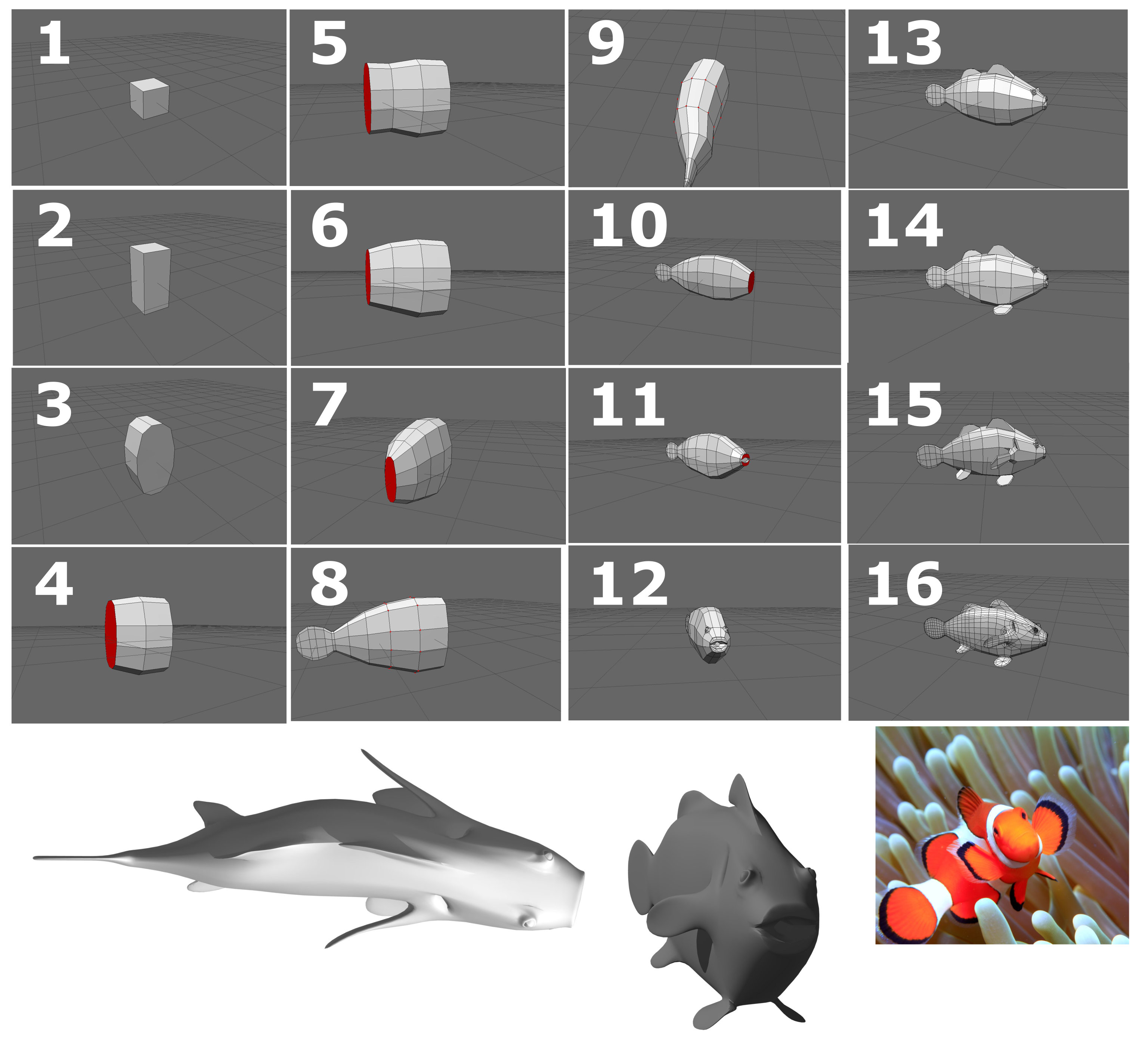 modeling-a-clownfish.jpg