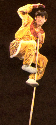 monkey lookout.jpg